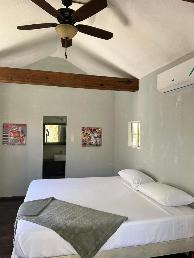 פורט אנטוניו Jamaica Colors Hotel And Eco-Retreat מראה חיצוני תמונה