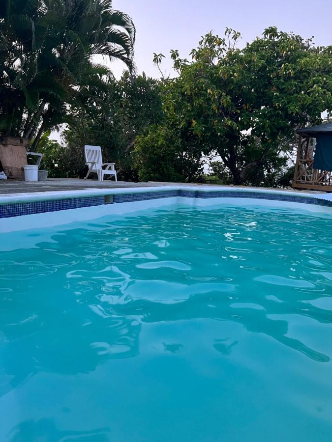 פורט אנטוניו Jamaica Colors Hotel And Eco-Retreat מראה חיצוני תמונה