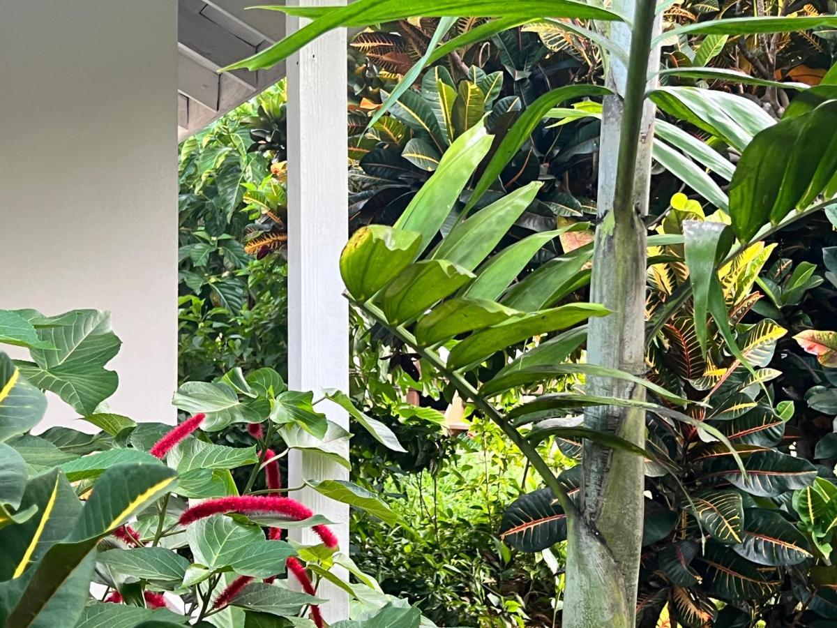 פורט אנטוניו Jamaica Colors Hotel And Eco-Retreat מראה חיצוני תמונה