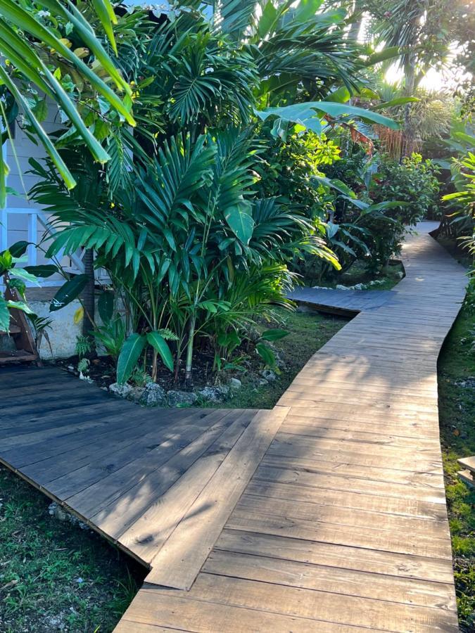 פורט אנטוניו Jamaica Colors Hotel And Eco-Retreat מראה חיצוני תמונה
