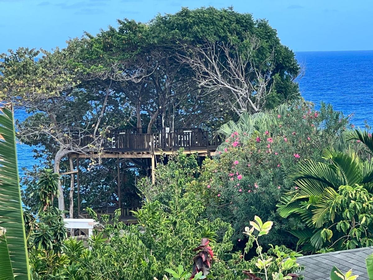 פורט אנטוניו Jamaica Colors Hotel And Eco-Retreat מראה חיצוני תמונה
