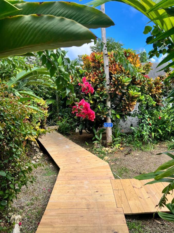 פורט אנטוניו Jamaica Colors Hotel And Eco-Retreat מראה חיצוני תמונה