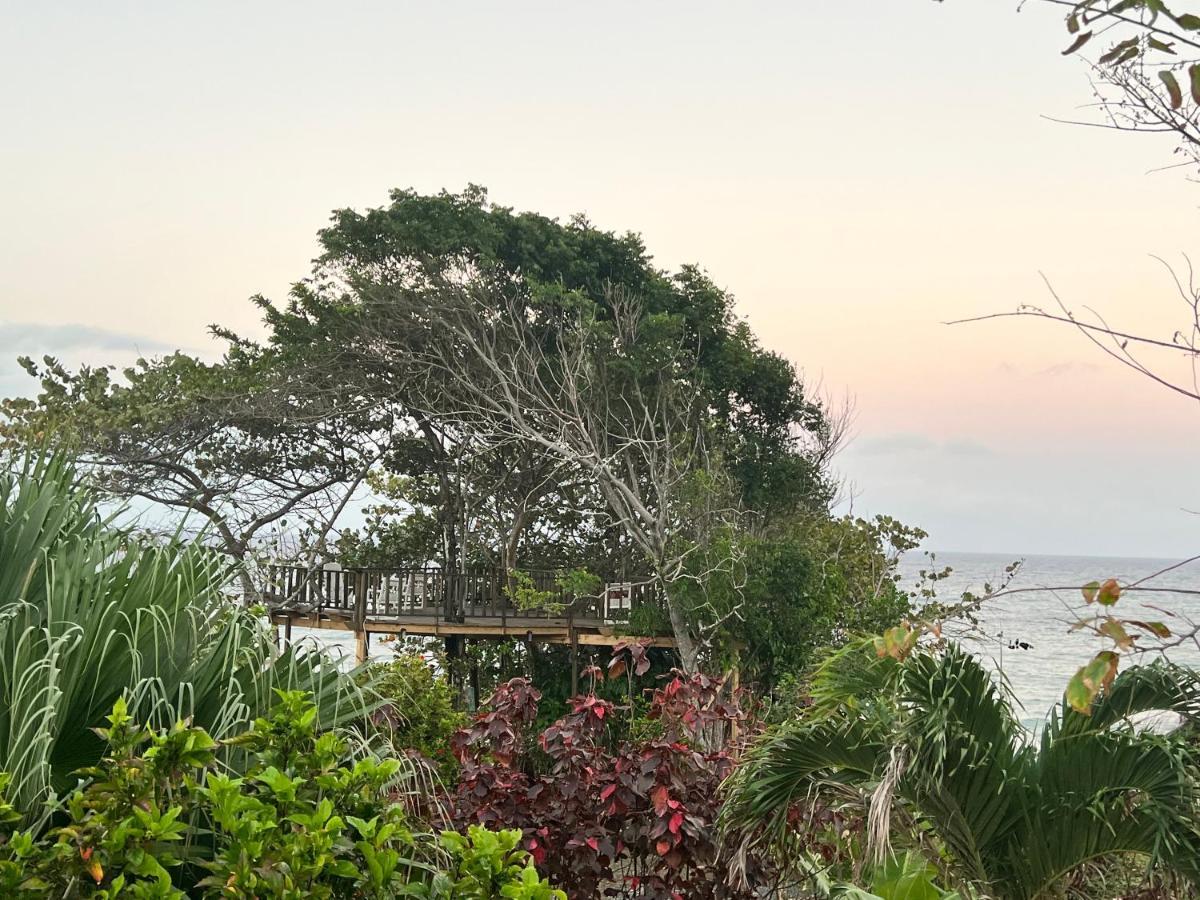 פורט אנטוניו Jamaica Colors Hotel And Eco-Retreat מראה חיצוני תמונה