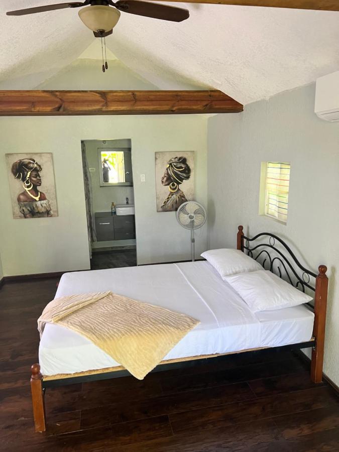 פורט אנטוניו Jamaica Colors Hotel And Eco-Retreat מראה חיצוני תמונה