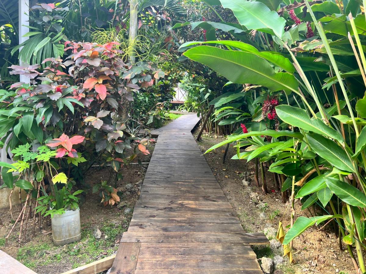 פורט אנטוניו Jamaica Colors Hotel And Eco-Retreat מראה חיצוני תמונה